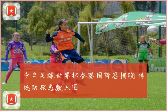 今年足球世界杯参赛国阵容揭晓 传统劲旅悉数入围