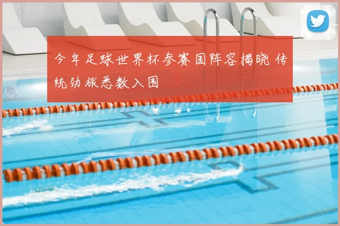 今年足球世界杯参赛国阵容揭晓 传统劲旅悉数入围